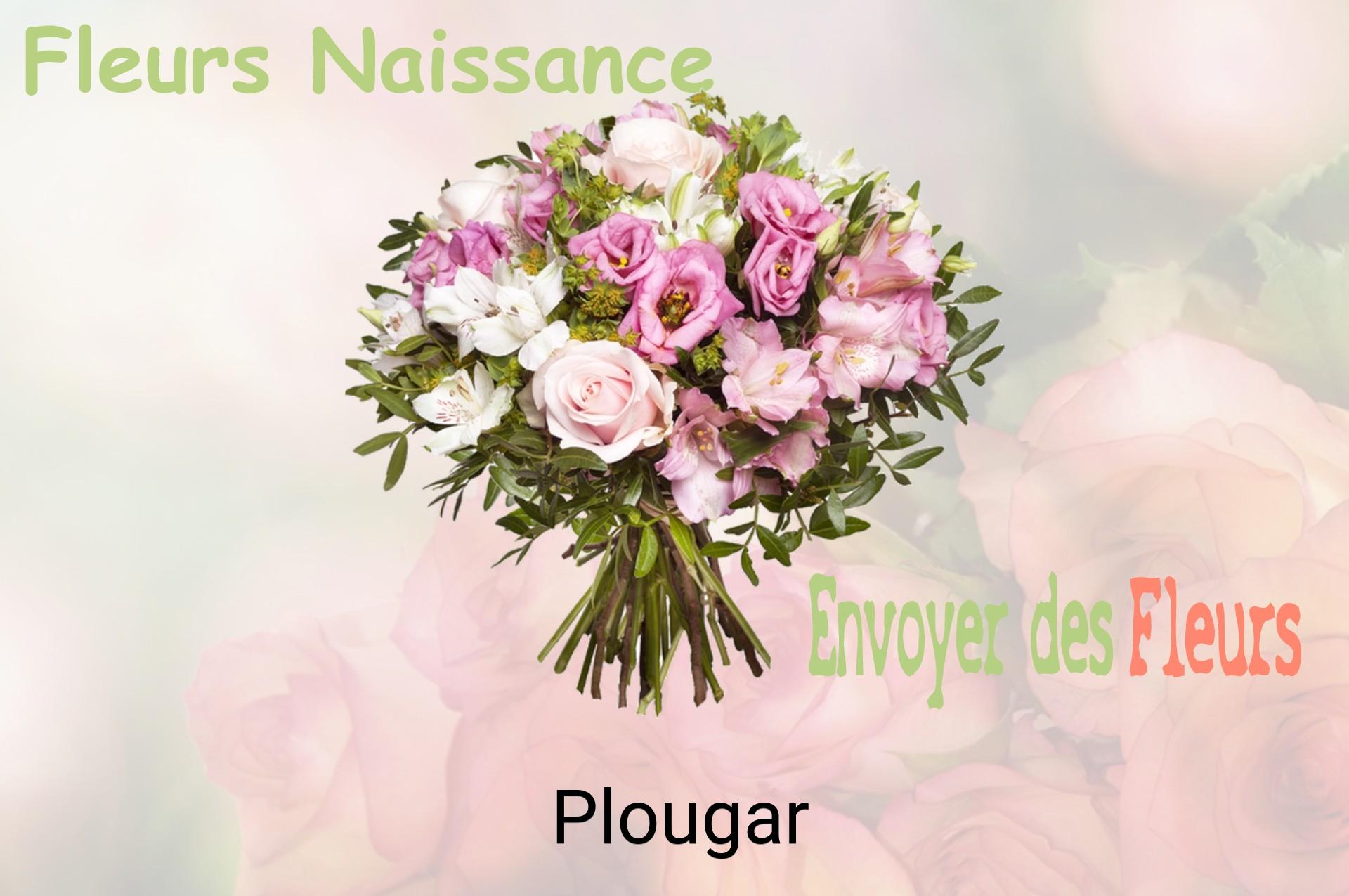 Bouquet de fleurs de naissance livré à Plougar